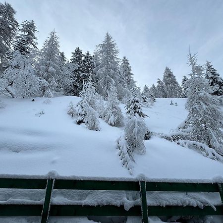 Ski Lodge Pampeago Tesero Eksteriør billede